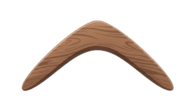 Boomerang weapon